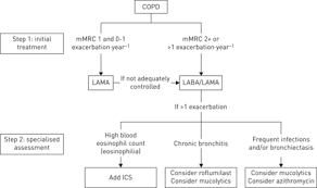 Image result for Medications in COPD Management