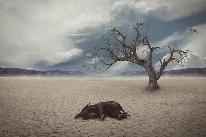 Researchers unearth 'new' extinction