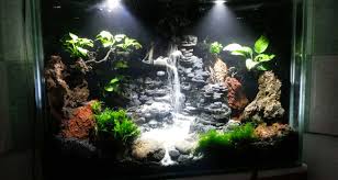 Memiliki aquarium indah dengan ikan yang sehat adalah salah satu terapi mata yang menyenangkan. 10 Model Tema Aquascape Terbaik Disertai Contoh Gambarnya Hobinatang