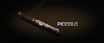 Playing the flute is a personal experience and a unique extension of communication. Piccolo Vienna Symphonic Library
