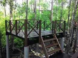 I wanted to show to my children the spot where my grandparents were first arrived in malaysia, migration from indonesia, in 1915. Tanjung Piai Johor National Parks