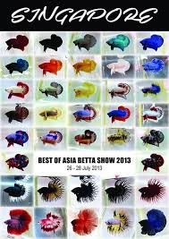 Singapore Competition Champion Fighters Betta Fish Tank Betta Fish Types Betta Fish