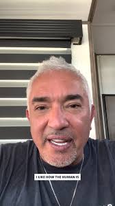 How to address puppy chewing! , In this video I address a very common  issue., Remember it is important to set rules, boundaries, and limitations  for our dogs., Learn more Training Cesar's Way, ...