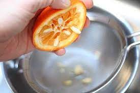 How To Grow An Orange Tree From Seed The Garden Of Eaden Growing Fruit Trees Orange Tree Growing Seeds