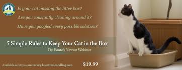 We're kind of blessed with cats, if you can call it that: Litter Box Problems Could Be Due To Physical Ailment Dr Sophia Yin