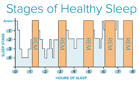Various Stages Of Sleep Rem Non Rem Sleeping Cycles