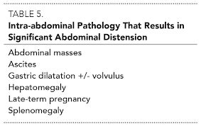 Approach To Respiratory Distress In Dogs Cats Todays