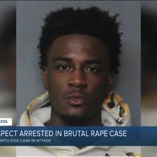 Third suspect arrested in brutal rape case