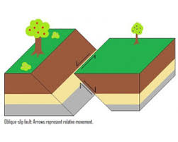 This shaking can result in the damage of various structures such as buildings and further breakdown of the earth's surface. Earthquake Facts For Kids