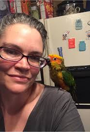 UPS driver helps with large dog during storm