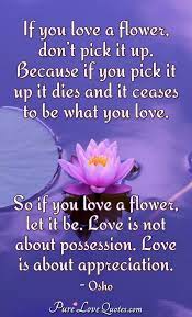 There's a difference between like and love. If You Love A Flower Don T Pick It Up Because If You Pick It Up It Dies And Purelovequotes