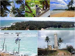 Geniet van de warmte van de zon, de kristal blauwe zee, het koraalzand en wuivende palmbomen. Sri Lanka Westkuste Suden Der Reise Guide Mit Rundreise Tipps