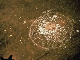 To some indigenous peoples of north america, the medicine wheel is a metaphor for a variety of spiritual concepts. Medicine Wheel Sacred Hoops Of Indigenous Americans Brewminate