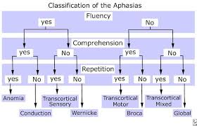 Useful Easy To Read Classification Aphasia Flowchart I