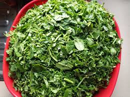 Image result for Gnetum africanum