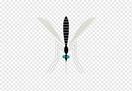 Insect Mosquito Illustration Black Cartoon Mosquito Cartoon Character Black Hair Poster Png Pngwing Pngkit selects 129 hd mosquito png images for free download. pngwing