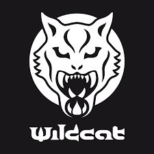258 myun on twitch.tv viewers: Wildcat Das Ist Itsmemogli Gefallt Dir Das Septum Facebook