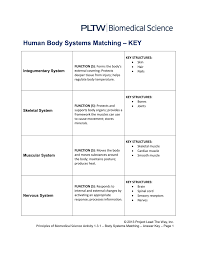 Human Body Systems Matching Key