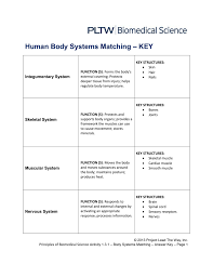 human body systems matching key