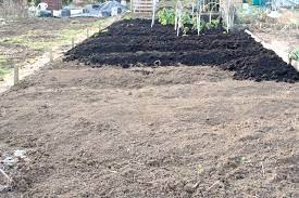 Tamp down with the back of a rake or walk gently over the top and you can plant right away Top 10 Faq How To Start Your No Dig Garden Stephanie Hafferty