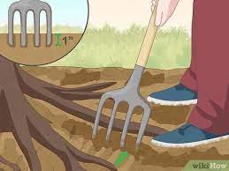 Feb 11, 2020 · @alwaysclau: 3 Ways To Deal With Exposed Tree Roots Wikihow
