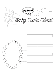 Baby Tooth Chart Template Free Download