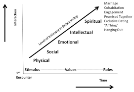 Chapter 08 Dating And Mate Selection Relationship Stages Role Emotions