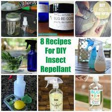 8 Recipes For Diy Insect Mosquito Repellent Insect Spray Insect Repellent Homemade Repellent