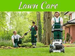 The impact on lawn health. Top Secrets Why Hiring A Professional Lawn Care Service Provider Is The Only Option My Decorative