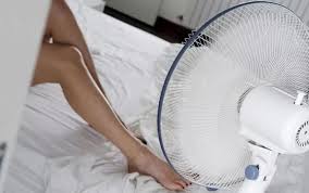 Một chiếc quạt có nên chạy cả ngày? Những lưu ý người dùng nên nhớ để sử  dụng hiệu quả, an toàn