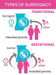 To help guide you through the surrogacy process, we've created this overview to give you insight into the general flow of our surrogacy journeys. Surrogacy Process In India Types Of Surrogacy And Its Implementation