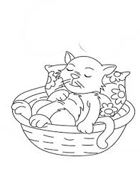 Ausmalbild Katzchen Schlaft Im Korb Zum Ausdrucken
