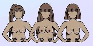 Even if a mother is menopausal, due to reasons, she can still bring her milk back. Breast Size And Shape Changes How Age Menopause Pregnancy And Breastfeeding Affect Boobs