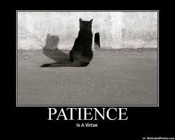 Do Good Things Really Come To Those Who Wait And What Do Goals Have To Do With It Patience Quotes Patience Virtue