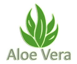 Kern und bezug farben können abweichen) Dibapur Otto Kaltschaummatratze Rollmatratze Matratzenerhohung Topper Matratze Kaufen Bei Hood De