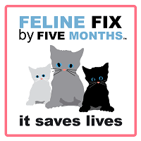 See tripadvisor's 20,375 traveler reviews and photos of tupelo tourist attractions. Participating Veterinarians Feline Fix By Five Months