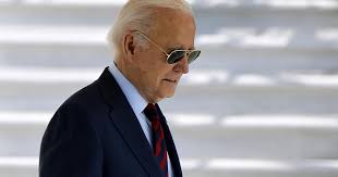 Image result for Bidens elliotii