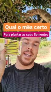 Horário Plantas Vs Bread No Horário Que A Gente Consegue Sementes Muito  Boas