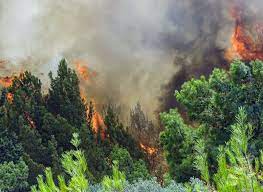 Jul 01, 2021 · σε έρευνα που ακολούθησε σε δύο οικήματα όπου φαίνεται να διέμεναν, εντός περιφραγμένου οικοπέδου στη βαρυμπόμπη, κατασχέθηκαν: Msplb8xmw8pw6m