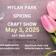 Spring Craft