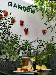 Agáchense y vuélvanse a agachar las niñas bonitas se saben agachar. El Patio De Mi Casa Pamplona Restaurant Reviews Photos Phone Number Tripadvisor