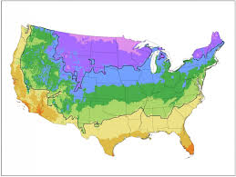 10 Best Fall Garden Plants To Grow Fall Gardening Guide