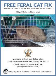 Vaccinations provide important protection for your pet's health. Dallas Free Feral Cat Mondays Free Fix Feral Friends Community Cat Alliance Facebook