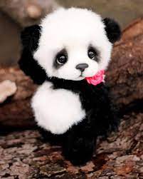 Cartoon panda images with cute cartoon panda pics photo dp january 3, 2021 october 11, 2018 by admin best cute cartoon panda images and wallpapers download, and cute panda photo baby cartoon panda images fully hd and cool wallpapers, with panda cartoon photo download and share to all friends and all social media, facebook, whatsapp, google plus. Cute Baby Panda Animals Paint By Number Numpaint Paint By Numbers