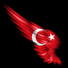 Türk bayrağı, meaning turkish flag) is a red flag featuring a white crescent and a white star. En Guzel Turk Bayragi Resimleri Turk Bayraklari Kuaza Bayrak Resim Duvar