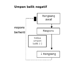 Bab 3 koordinasi dan gerak balas topik homeostasis dalam haiwan.#cikgootube#cikgooborneo#sainsf1#amirah#smkselirik#homeostasisdalambendahidup. Makalah Homeostasis