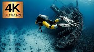What you need to know is that these images that you add will neither increase nor decrease the speed of your computer. Scuba Diver 4k Ultrahd Underwater Breathtaking Dive Into Ocean Under Deep Sea Free Diver Hd Youtube