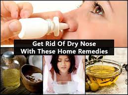 These Home Remedies Help Get Rid Of Dry Nose Quickly - Boldsky.com