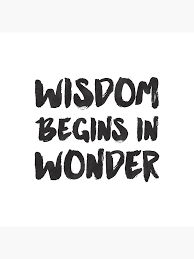 Wisdom Begins In Wonder Socrates Quote Greeting Card By Lunahaze Redbubble