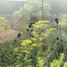 pin op save the tools